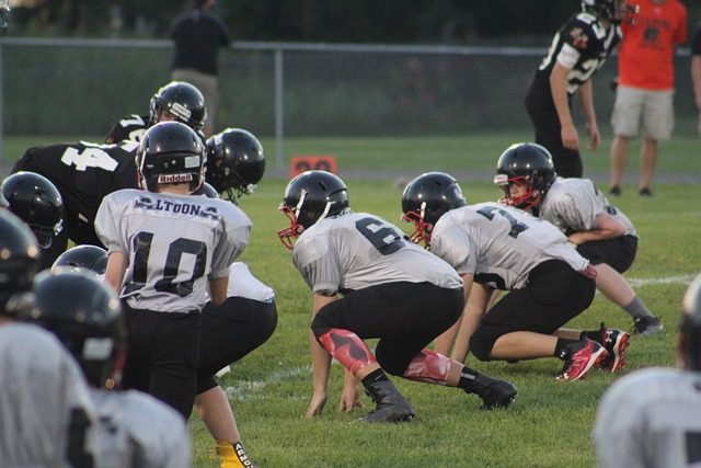 天空：利物浦正领跑格伊争夺战，其次便是拜仁的关注